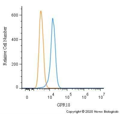 Flow Cytometry: GPR18 Antibody - BSA Free [NBP2-24918]