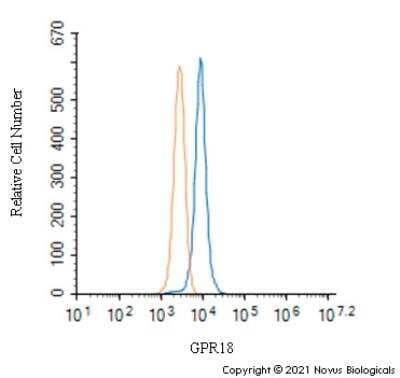 Flow Cytometry: GPR18 Antibody - BSA Free [NBP2-24918]