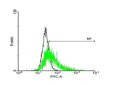 Flow Cytometry: GPR50 Antibody [H00009248-B01P]