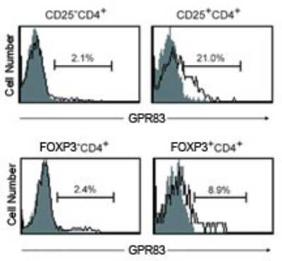 Flow Cytometry: GPR83 Antibody - BSA Free [NLS4954]