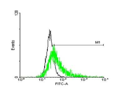 Flow Cytometry: GPRC5C Antibody [H00055890-B01P]