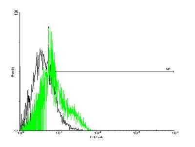 Flow Cytometry: GPRC5D Antibody [H00055507-B01P]