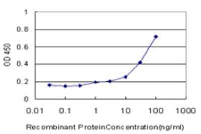 ELISA: GPT Antibody (M1) [H00002875-M04]