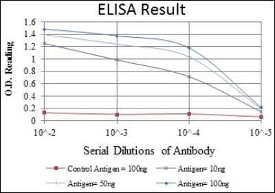ELISA: GR/NR3C1 Antibody (6E6) - BSA Free [NBP2-22174]