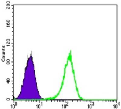 Flow Cytometry: GR/NR3C1 Antibody (6E6) - BSA Free [NBP2-22174]