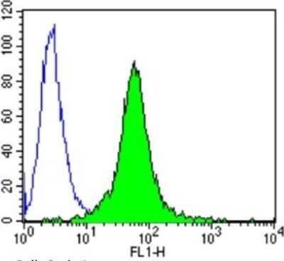 Flow Cytometry: GR/NR3C1 Antibody (BuGR2) - BSA Free [NB300-731]