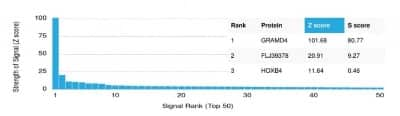 Protein Array: GRAMD4 Antibody (PCRP-GRAMD4-1A10) - Azide and BSA Free [NBP3-14282]