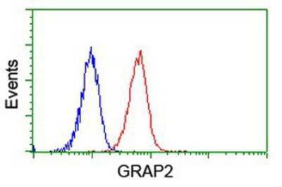 Flow Cytometry: GRAP2 Antibody (OTI1G2) [NBP2-00764]