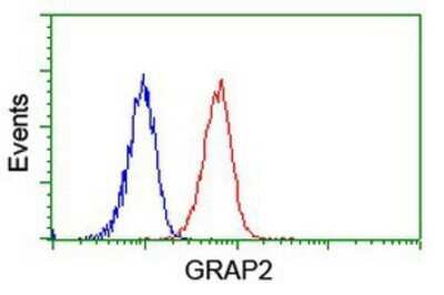 Flow Cytometry: GRAP2 Antibody (OTI1G2) - Azide and BSA Free [NBP2-71457]
