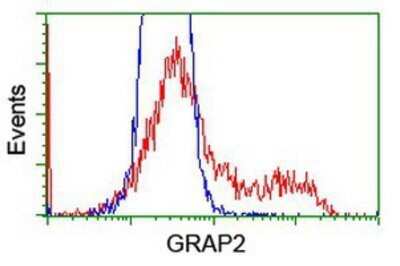 Flow Cytometry: GRAP2 Antibody (OTI1G2) - Azide and BSA Free [NBP2-71457]