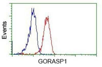 Flow Cytometry: GRASP65 Antibody (OTI5G8) - Azide and BSA Free [NBP2-72144]