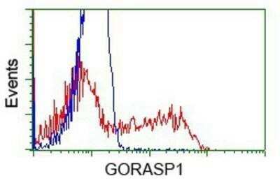 Flow Cytometry: GRASP65 Antibody (OTI5G8) - Azide and BSA Free [NBP2-72144]