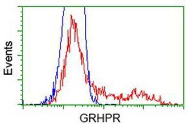 Flow Cytometry: GRHPR Antibody (OTI2H4) [NBP2-03348]