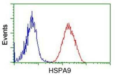 Flow Cytometry: GRP75/HSPA9B/Mortalin Antibody (OTI9F8) - Azide and BSA Free [NBP2-70963]