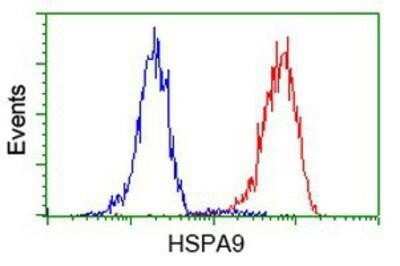 Flow Cytometry: GRP75/HSPA9B/Mortalin Antibody (OTI9F8) - Azide and BSA Free [NBP2-70963]