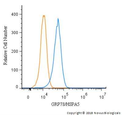 Flow Cytometry: GRP78/HSPA5 Antibody - BSA Free [NBP1-06274]