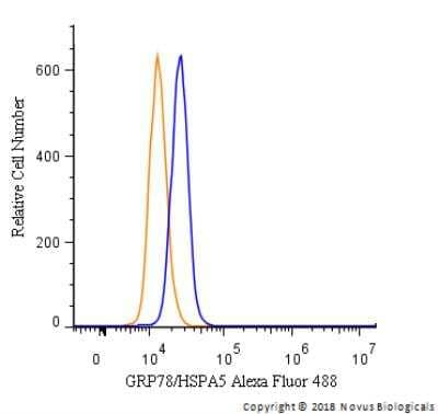 Flow Cytometry: GRP78/HSPA5 Antibody - BSA Free [NBP1-06274]