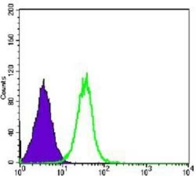 Flow Cytometry: GSK-3 beta Antibody (3D10) - BSA Free [NBP1-47470]