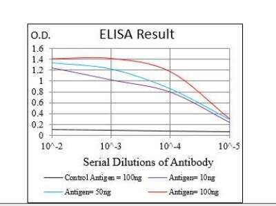 ELISA: GSK-3 beta Antibody (3D6B4) - BSA Free [NBP2-52478]