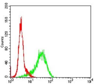 Flow Cytometry: GSK-3 beta Antibody (3D6B4) - BSA Free [NBP2-52478]