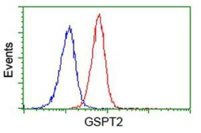 Flow Cytometry: GSPT2 Antibody (OTI2G9) [NBP2-00873]
