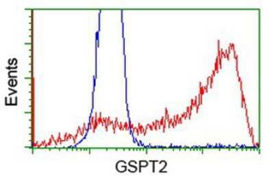 Flow Cytometry: GSPT2 Antibody (OTI2G9) [NBP2-00873]