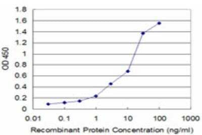 ELISA: GSTO1 Antibody (1B6) [H00009446-M03]