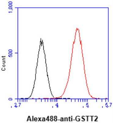 Flow Cytometry: GSTT2 Antibody (AT10H4) - BSA Free [NBP2-50577]