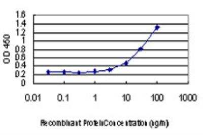 ELISA: GUCY2D Antibody (6E9) [H00003000-M03]