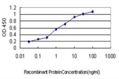 ELISA: GUCY2D Antibody (6E9) [H00003000-M03]