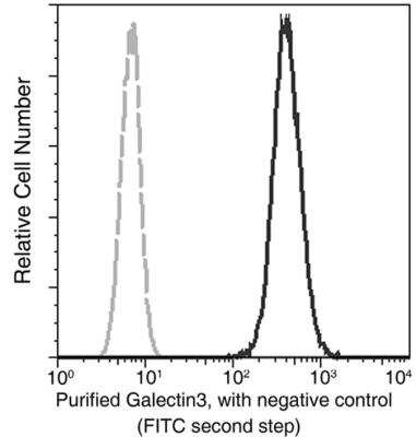 Flow Cytometry: Galectin-3 Antibody (024) [NBP2-89383]