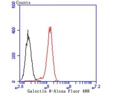 Flow Cytometry: Galectin-8 Antibody (JB85-35) [NBP2-75501]