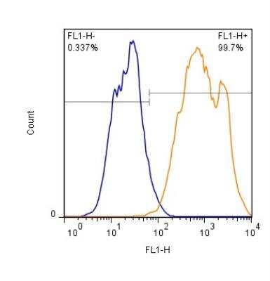 Flow (Intracellular): Gankyrin Antibody [NB100-1834]