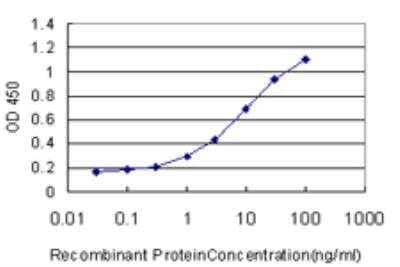 ELISA: Gasdermin like Antibody (4C10) [H00055876-M06]