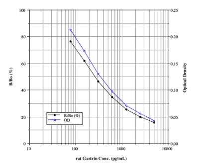 ELISA: Rat Gastrin ELISA Kit (Colorimetric) [NBP2-61291]