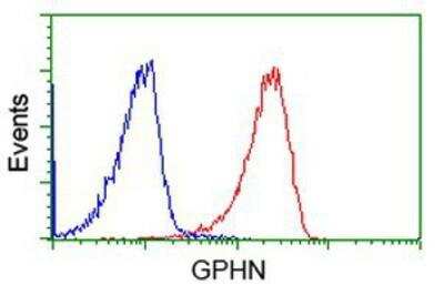 Flow Cytometry: Gephyrin/GPHN Antibody (OTI3B6) [NBP2-03449]