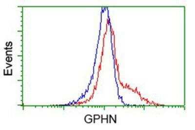 Flow Cytometry: Gephyrin/GPHN Antibody (OTI3B6) [NBP2-03449]
