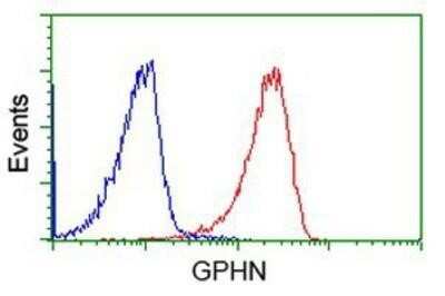 Flow Cytometry: Gephyrin/GPHN Antibody (OTI3B6) - Azide and BSA Free [NBP2-71556]