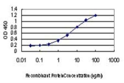 ELISA: Ghrelin/Obestatin Antibody (2F4) [H00051738-M01]