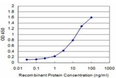 ELISA: GluR1 Antibody (1G10) [H00002890-M01]