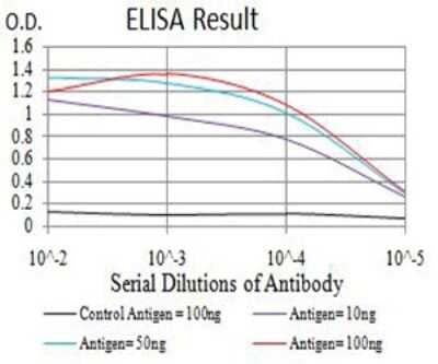 ELISA: GluR2 Antibody (7A7A3) - BSA Free [NBP2-61775]