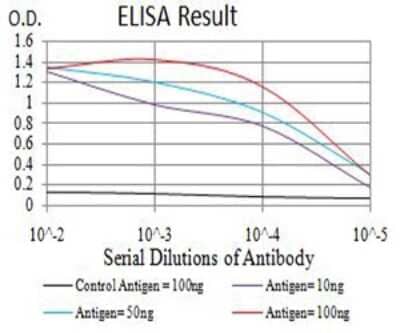ELISA: GluR2 Antibody (7A7D12) - BSA Free [NBP2-61776]