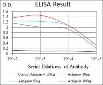 ELISA: GluR2 Antibody (7G6) - BSA Free [NBP2-37475]