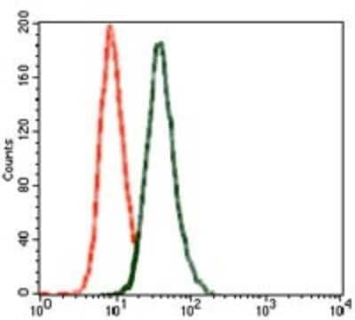 Flow Cytometry: GluR2 Antibody (7G6) - BSA Free [NBP2-37475]
