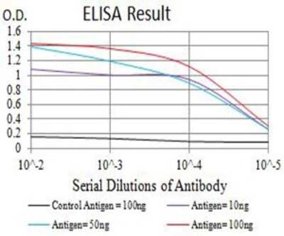 ELISA: GluR7/GRIK3 Antibody (2B3D1) - BSA Free [NBP2-61782]