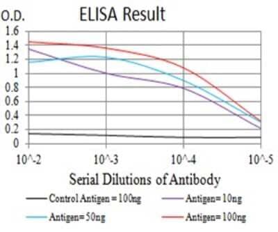 ELISA: GluR7/GRIK3 Antibody (2B4H1) - BSA Free [NBP2-61783]