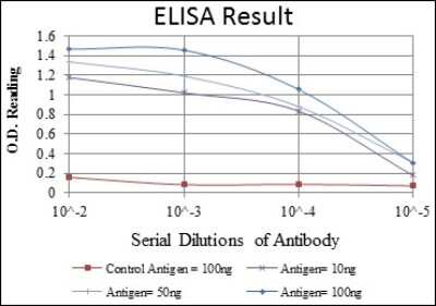 ELISA: Glucokinase/GCK Antibody (4G6) - BSA Free [NBP2-37579]