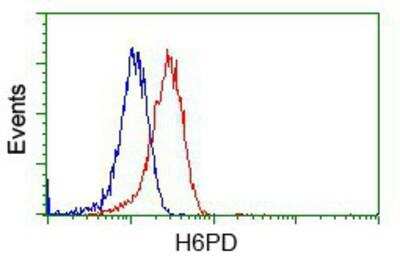 Flow Cytometry: Glucose 1-dehydrogenase Antibody (OTI2A7) [NBP2-02615]