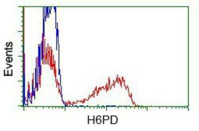 Flow Cytometry: Glucose 1-dehydrogenase Antibody (OTI2A7) [NBP2-02615]