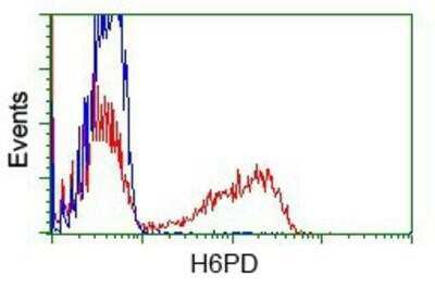 Flow Cytometry: Glucose 1-dehydrogenase Antibody (OTI2A7) - Azide and BSA Free [NBP2-71478]